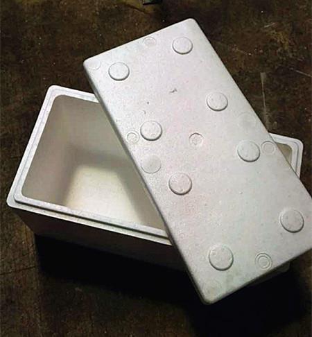 china eps foam fish box mould